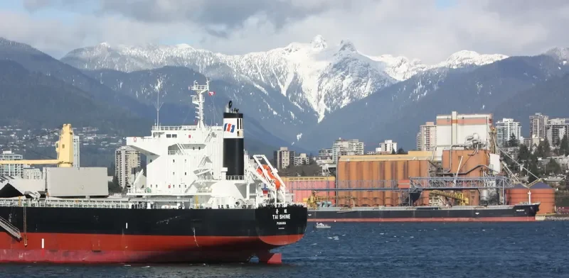 TAI SHINE Bulk Carrier IMO 9633264 photo 4