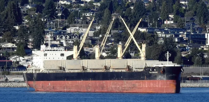 TAI SHINE Bulk Carrier IMO 9633264 photo 6