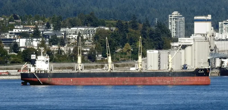 TAI SHINE Bulk Carrier IMO 9633264 photo 7