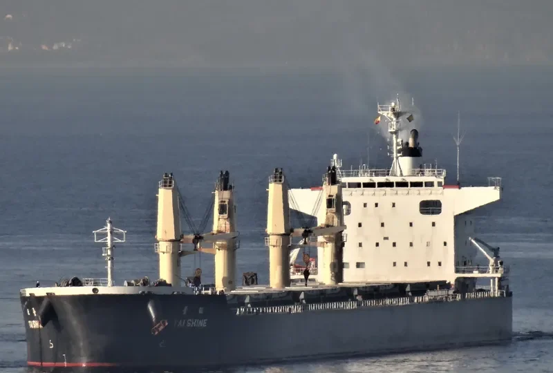 TAI SHINE Bulk Carrier IMO 9633264 photo 9