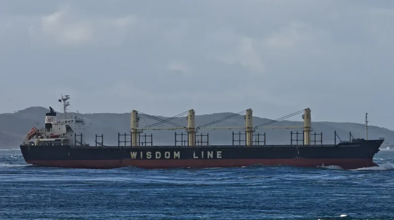 POAVOSA WISDOM VII Bulk Carrier IMO 9633276 photo 3