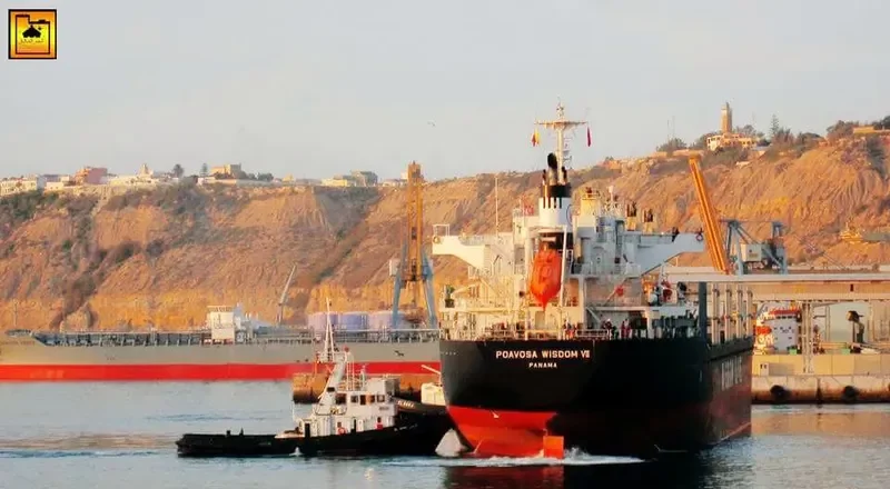 POAVOSA WISDOM VII Bulk Carrier IMO 9633276 photo 4