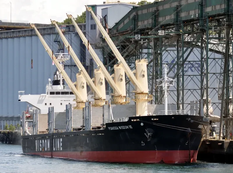 POAVOSA WISDOM VII Bulk Carrier IMO 9633276 photo 8