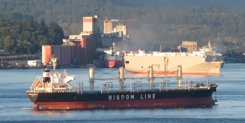 POAVOSA WISDOM VII Bulk Carrier IMO 9633276 photo 9