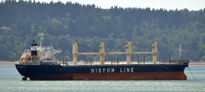 POAVOSA WISDOM VII Bulk Carrier IMO 9633276 photo 10