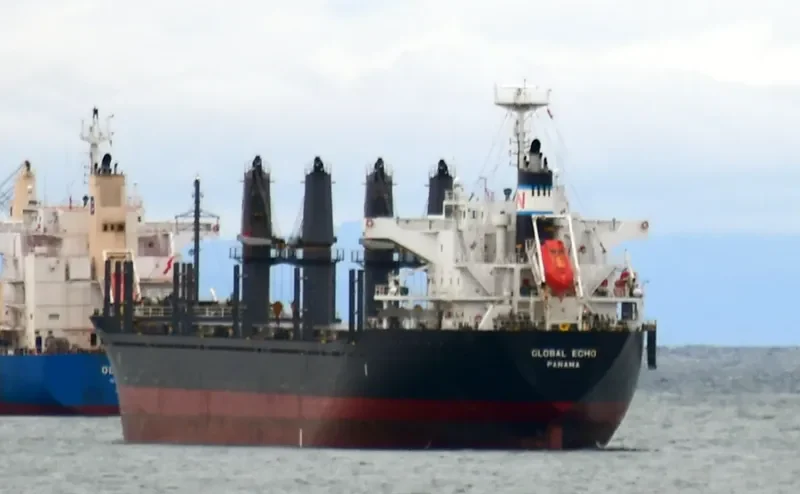 GLOBAL ECHO Bulk Carrier IMO 9633288