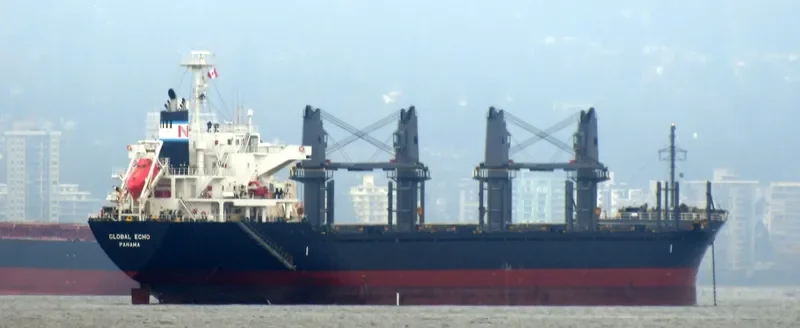 GLOBAL ECHO Bulk Carrier IMO 9633288 photo 2