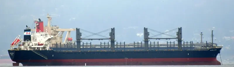 GLOBAL ECHO Bulk Carrier IMO 9633288 photo 3