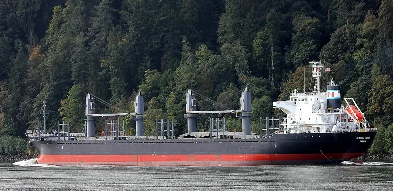 GLOBAL ECHO Bulk Carrier IMO 9633288 photo 4