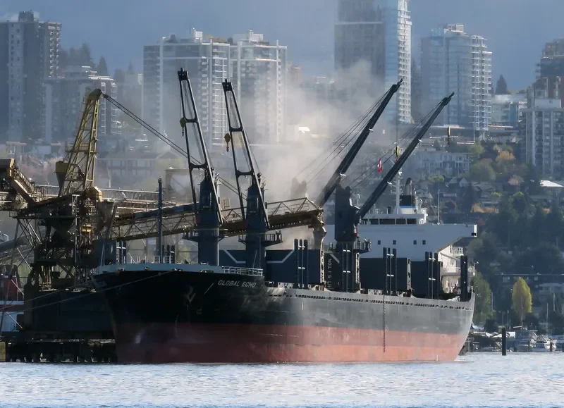 GLOBAL ECHO Bulk Carrier IMO 9633288 photo 5