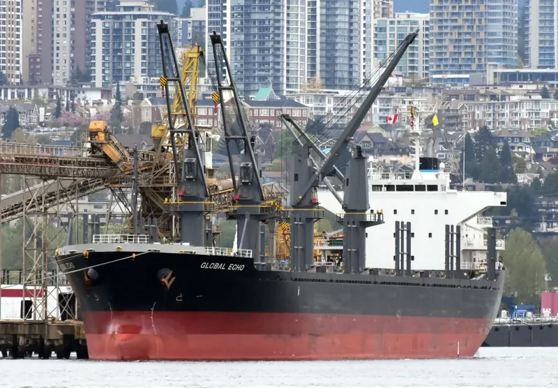 GLOBAL ECHO Bulk Carrier IMO 9633288 photo 6
