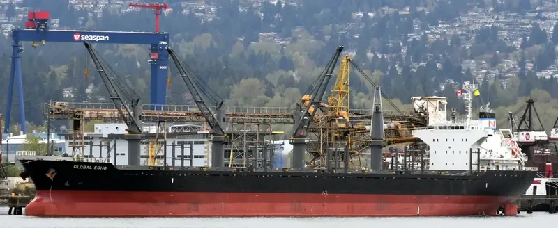 GLOBAL ECHO Bulk Carrier IMO 9633288 photo 7