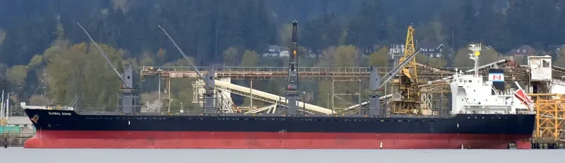 GLOBAL ECHO Bulk Carrier IMO 9633288 photo 8