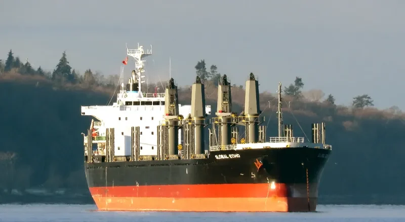 GLOBAL ECHO Bulk Carrier IMO 9633288 photo 9