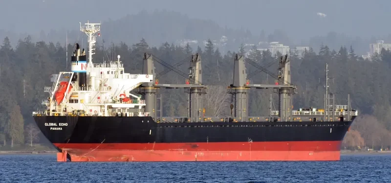 GLOBAL ECHO Bulk Carrier IMO 9633288 photo 10