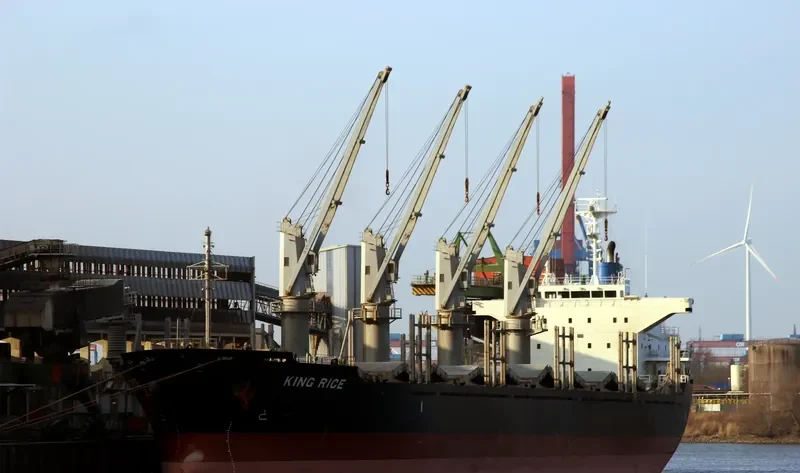 KING RICE Bulk Carrier IMO 9633290