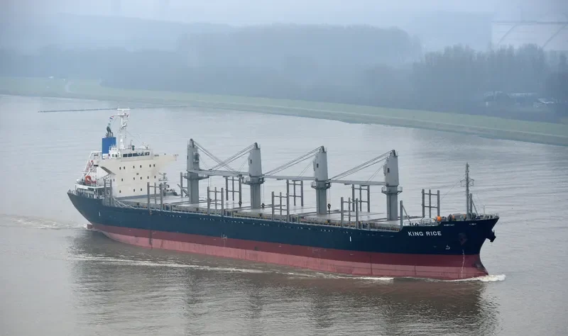 KING RICE Bulk Carrier IMO 9633290 photo 2