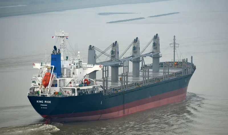 KING RICE Bulk Carrier IMO 9633290 photo 3