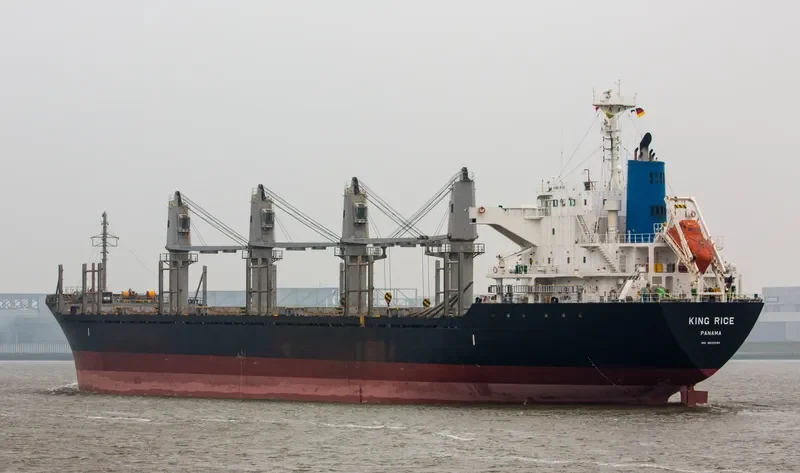 KING RICE Bulk Carrier IMO 9633290 photo 4