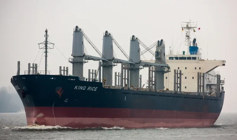 KING RICE Bulk Carrier IMO 9633290 photo 5