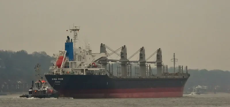 KING RICE Bulk Carrier IMO 9633290 photo 6