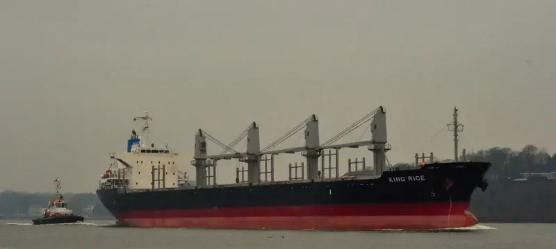 KING RICE Bulk Carrier IMO 9633290 photo 7