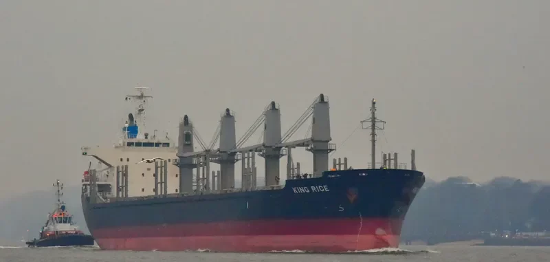 KING RICE Bulk Carrier IMO 9633290 photo 8