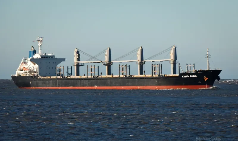 KING RICE Bulk Carrier IMO 9633290 photo 9