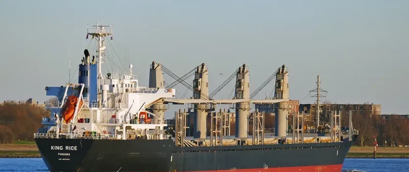 KING RICE Bulk Carrier IMO 9633290 photo 10