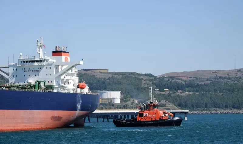 BOTAS General Cargo IMO 9633379 photo 4