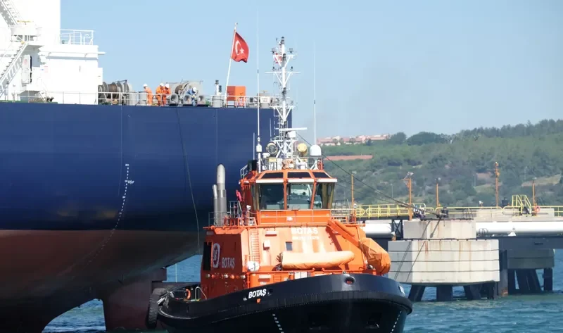 BOTAS General Cargo IMO 9633379 photo 5
