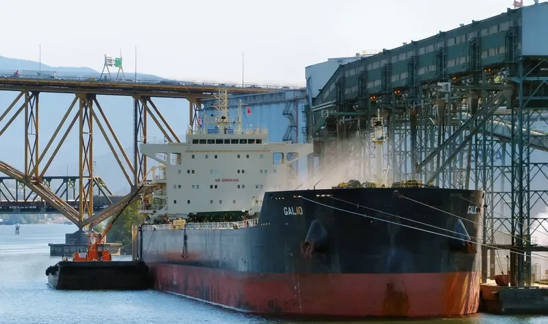 GALIO Bulk Carrier IMO 9633408