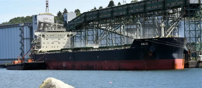 GALIO Bulk Carrier IMO 9633408 photo 2