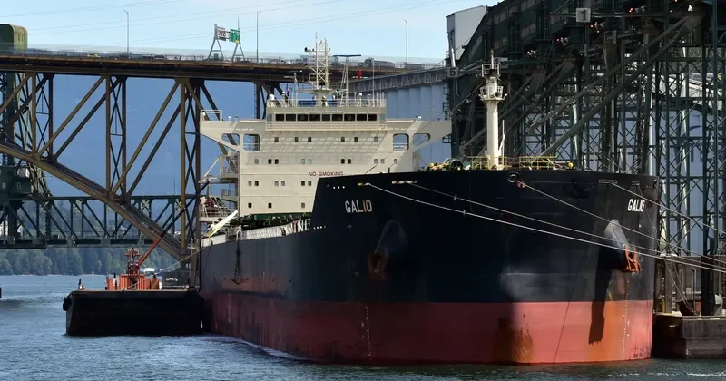 GALIO Bulk Carrier IMO 9633408 photo 3