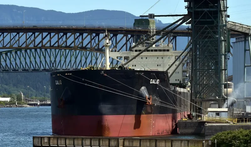 GALIO Bulk Carrier IMO 9633408 photo 4