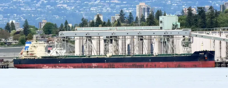 GALIO Bulk Carrier IMO 9633408 photo 5