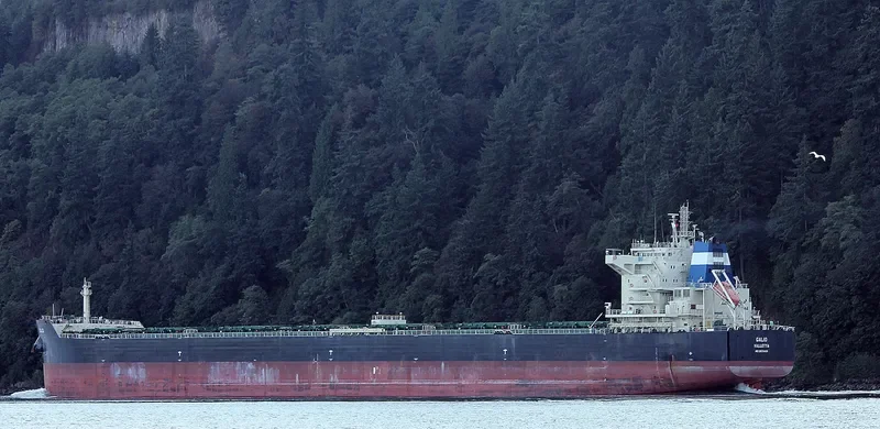 GALIO Bulk Carrier IMO 9633408 photo 6