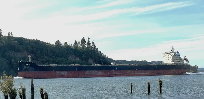 GALIO Bulk Carrier IMO 9633408 photo 7