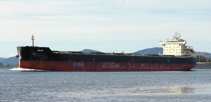 GALIO Bulk Carrier IMO 9633408 photo 8