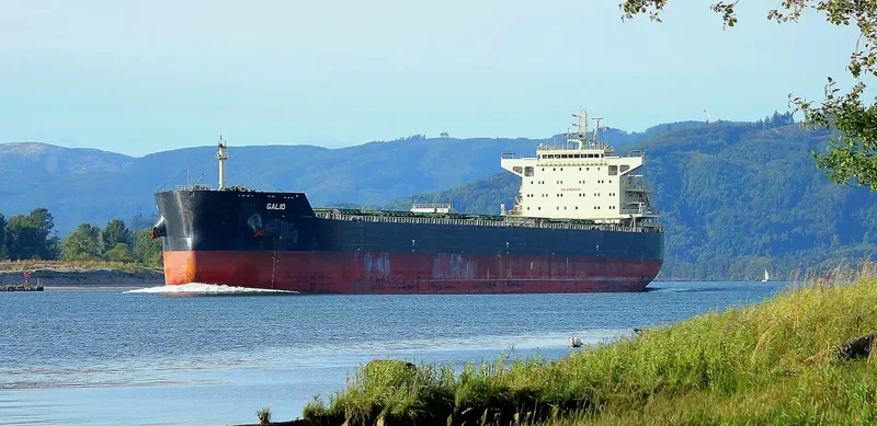 GALIO Bulk Carrier IMO 9633408 photo 9