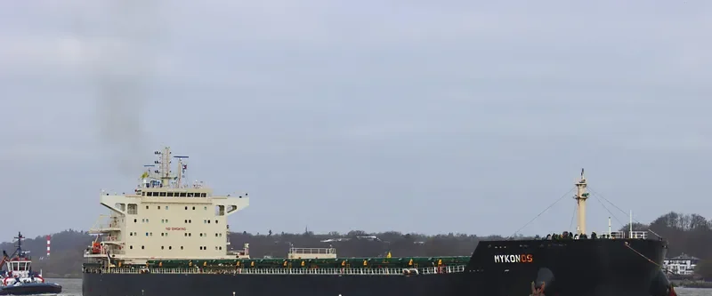 MYKONOS Bulk Carrier IMO 9633410 photo 6