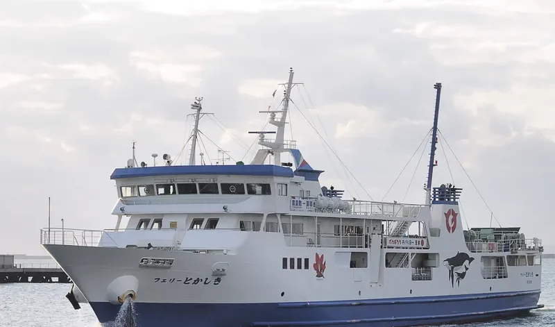 FERRY TOKASHIKI Ro-Ro IMO 9633587