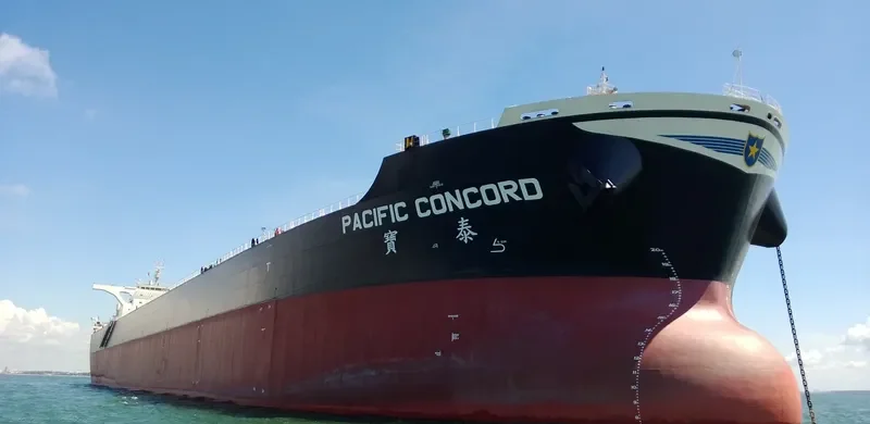 PACIFIC CONCORD Bulk Carrier IMO 9633733 photo 3