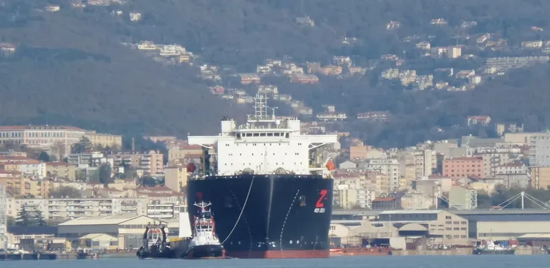 RED ZED I General Cargo IMO 9633977 photo 6