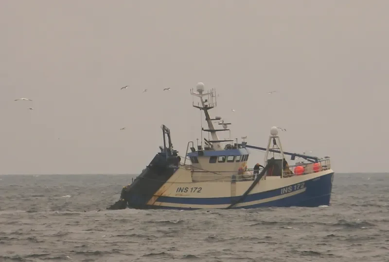 NEREUS General Cargo IMO 9634036 photo 8