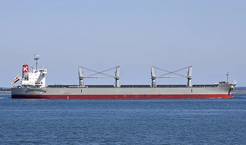 AQUARIUS Bulk Carrier IMO 9634438 photo 8