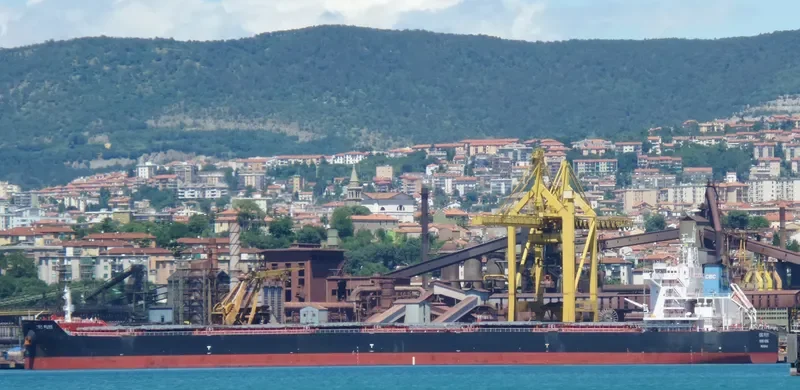 CBC FUYI Bulk Carrier IMO 9634440 photo 9