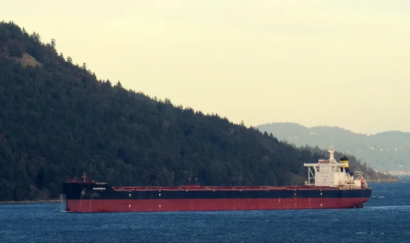 RANGIROA Bulk Carrier IMO 9634713 photo 2