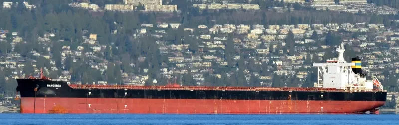 RANGIROA Bulk Carrier IMO 9634713 photo 3