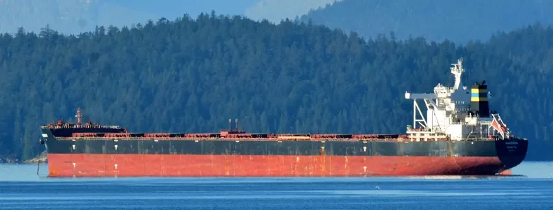 RANGIROA Bulk Carrier IMO 9634713 photo 4